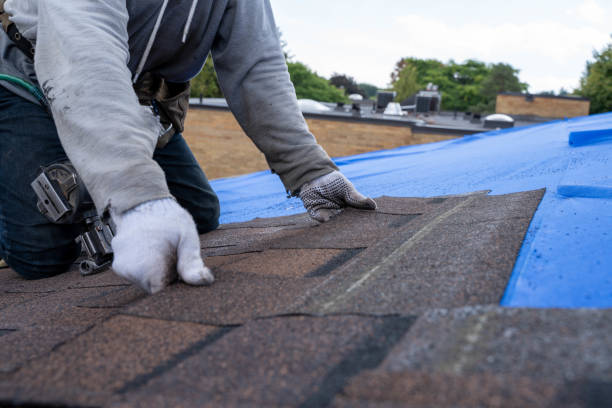Best Roof Gutter Cleaning  in Aragon, GA