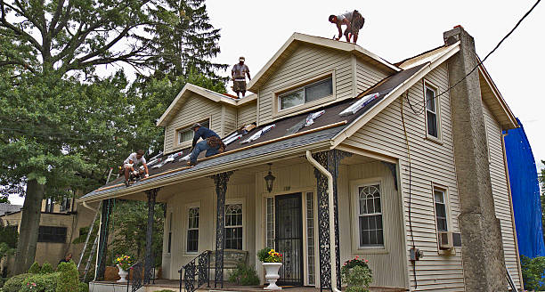 Best Roof Maintenance Services  in Aragon, GA